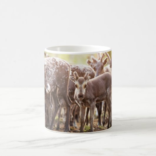 最も可愛い赤ん坊の動物 | Svalbard Reindeer コーヒーマグカップ (中央)