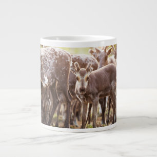 最も可愛い赤ん坊の動物 Svalbard Reindeer ジャンボコーヒーマグカップ