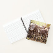 最も可愛い赤ん坊の動物 | Svalbard Reindeer ノートブック (内部)