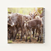 最も可愛い赤ん坊の動物 | Svalbard Reindeer ノートブック (裏面)