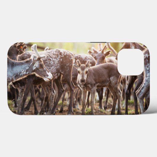最も可愛い赤ん坊の動物 | Svalbard Reindeer Case-Mate iPhoneケース (裏面 (横))