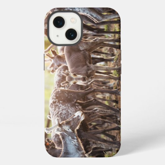 最も可愛い赤ん坊の動物 | Svalbard Reindeer iPhoneケース (裏面)