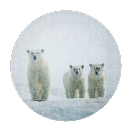 最も可愛い赤ん坊の動物 | Three Young Polar Bears カッティングボード (正面)