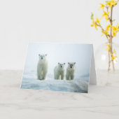最も可愛い赤ん坊の動物 | Three Young Polar Bears カード (黄色い花)