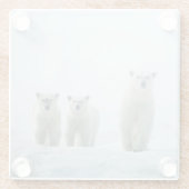 最も可愛い赤ん坊の動物 | Three Young Polar Bears ガラスコースター (裏面)