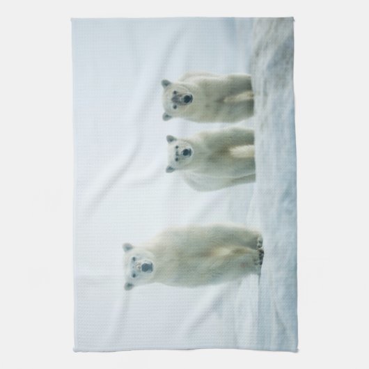最も可愛い赤ん坊の動物 | Three Young Polar Bears キッチンタオル (縦)