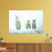 最も可愛い赤ん坊の動物 | Three Young Polar Bears キャンバスプリント (インサイチュ (リビング))