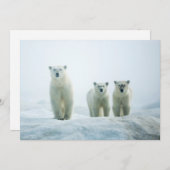 最も可愛い赤ん坊の動物 | Three Young Polar Bears サンキューカード (正面/裏面)