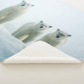 最も可愛い赤ん坊の動物 | Three Young Polar Bears シェルパブランケット (3/4)