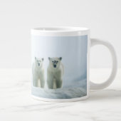 最も可愛い赤ん坊の動物 | Three Young Polar Bears ジャンボコーヒーマグカップ (右)