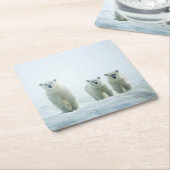 最も可愛い赤ん坊の動物 | Three Young Polar Bears スクエアペーパーコースター (アングル)