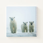 最も可愛い赤ん坊の動物 | Three Young Polar Bears ノートブック (裏面)