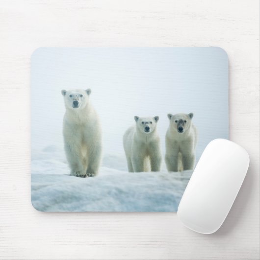 最も可愛い赤ん坊の動物 | Three Young Polar Bears マウスパッド (マウス)