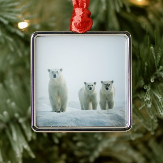 最も可愛い赤ん坊の動物 | Three Young Polar Bears メタルオーナメント (ツリー)