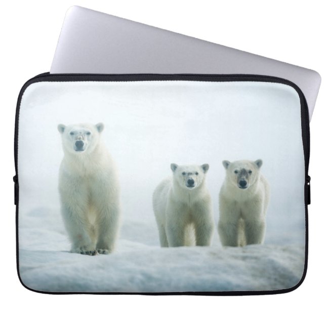 最も可愛い赤ん坊の動物 | Three Young Polar Bears ラップトップスリーブ (正面)