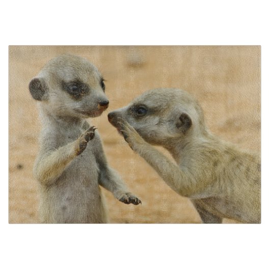 最も可愛い赤ん坊の動物 | Two Young Meerkats カッティングボード (正面)