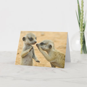 最も可愛い赤ん坊の動物 Two Young Meerkats カード