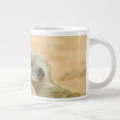 最も可愛い赤ん坊の動物 | Two Young Meerkats ジャンボコーヒーマグカップ (右)