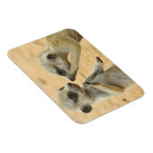 最も可愛い赤ん坊の動物 | Two Young Meerkats マグネット (右側)