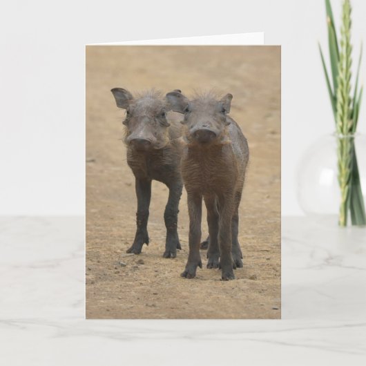 最も可愛い赤ん坊の動物 | Two Young Warthogs カード (正面)