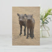 最も可愛い赤ん坊の動物 | Two Young Warthogs サンキューカード (スタンド正面)