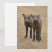 最も可愛い赤ん坊の動物 | Two Young Warthogs サンキューカード (正面/裏面)