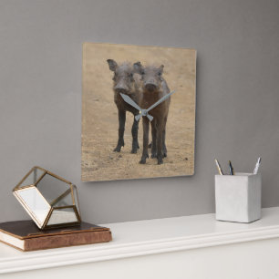 最も可愛い赤ん坊の動物 Two Young Warthogs スクエア壁時計