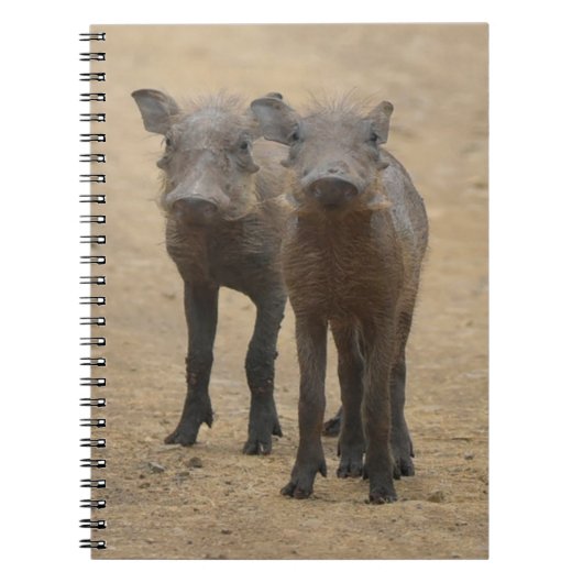 最も可愛い赤ん坊の動物 | Two Young Warthogs ノートブック (正面)