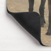 最も可愛い赤ん坊の動物 | Two Young Warthogs マウスパッド (コーナー)