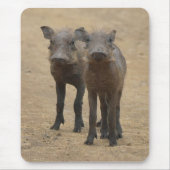 最も可愛い赤ん坊の動物 | Two Young Warthogs マウスパッド (正面)