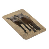 最も可愛い赤ん坊の動物 | Two Young Warthogs マグネット (右側)