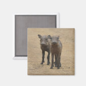 最も可愛い赤ん坊の動物 | Two Young Warthogs マグネット (正面/裏面)