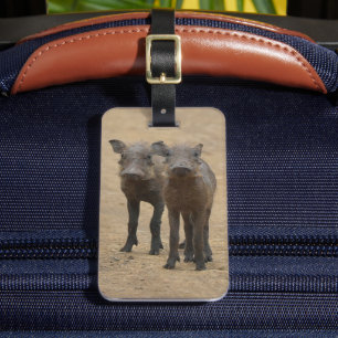 最も可愛い赤ん坊の動物   Two Young Warthogs ラゲッジタグ