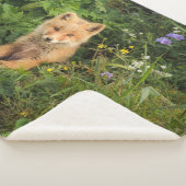 最も可愛い赤ん坊の動物 | Umnak Alaskaの赤いキツネ シェルパブランケット (3/4)