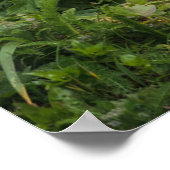 最も可愛い赤ん坊の動物 | Umnak Alaskaの赤いキツネ ポスター (角)