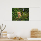 最も可愛い赤ん坊の動物 | Umnak Alaskaの赤いキツネ ポスター (キッチン)