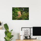 最も可愛い赤ん坊の動物 | Umnak Alaskaの赤いキツネ ポスター (ホームオフィス)