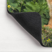 最も可愛い赤ん坊の動物 | Umnak Alaskaの赤いキツネ マウスパッド (コーナー)