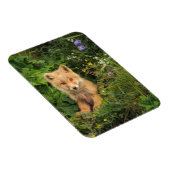 最も可愛い赤ん坊の動物 | Umnak Alaskaの赤いキツネ マグネット (右側)