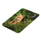 最も可愛い赤ん坊の動物 | Umnak Alaskaの赤いキツネ マグネット (左側)