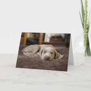 最も可愛い赤ん坊の動物 Weimaraner Puppy Sleeping カード