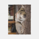 最も可愛い赤ん坊の動物 | Weimaraner Puppy Sleeping フリースブランケット (正面)