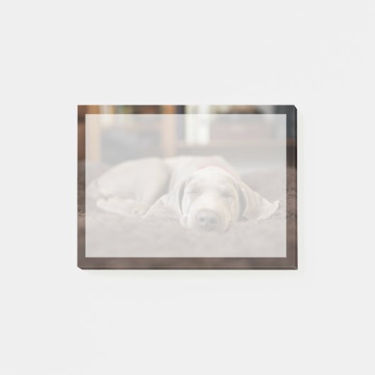最も可愛い赤ん坊の動物 | Weimaraner Puppy Sleeping ポストイット (正面)