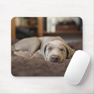最も可愛い赤ん坊の動物 Weimaraner Puppy Sleeping マウスパッド