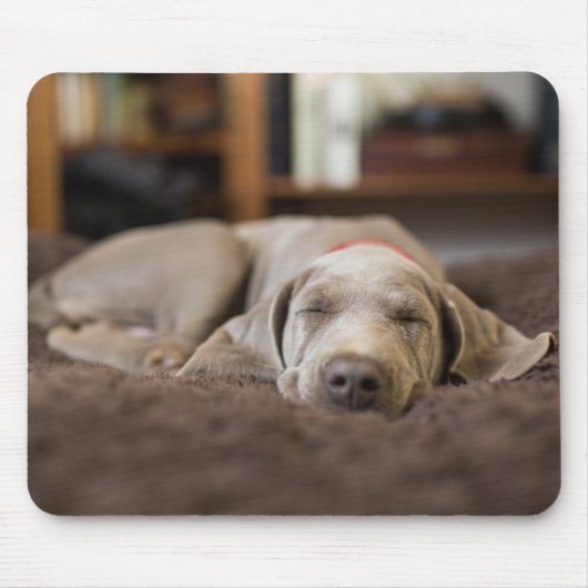 最も可愛い赤ん坊の動物 | Weimaraner Puppy Sleeping マウスパッド (正面)