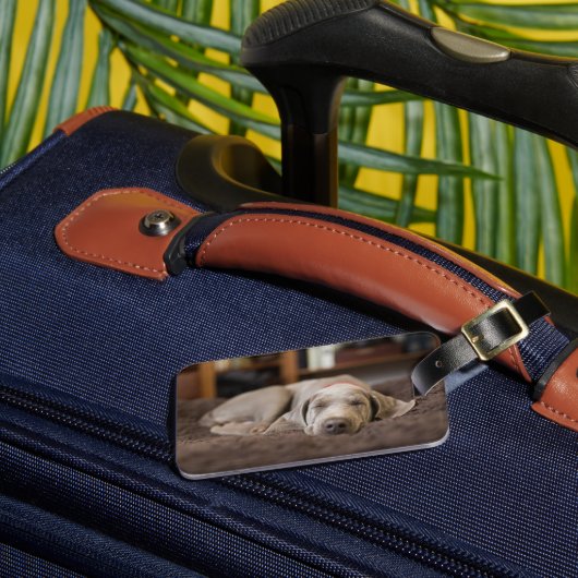 最も可愛い赤ん坊の動物 | Weimaraner Puppy Sleeping ラゲッジタグ (正面インサイチュ3)