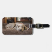 最も可愛い赤ん坊の動物 | Weimaraner Puppy Sleeping ラゲッジタグ (正面横)
