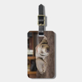 最も可愛い赤ん坊の動物 | Weimaraner Puppy Sleeping ラゲッジタグ (正面縦)