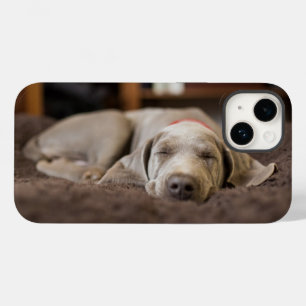 最も可愛い赤ん坊の動物 Weimaraner Puppy Sleeping Case-Mate iPhone 14ケース