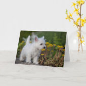 最も可愛い赤ん坊の動物 | West Highland White Terrier カード (黄色い花)